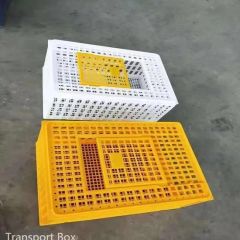 Quality PVC Chicken Carrying Boxes for Safe Transport - Image 4
