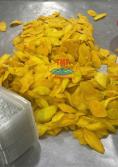 Chewy Mango Strips AD Process Water Preserved Tropical Fruit Snack Low Sugar 10 kg Bulk Pack Vietnam Export Supplier TEC – product photo 2, product detail gallery