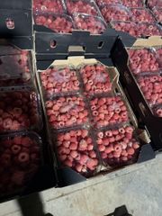 Fresh Moroccan Raspberries – Premium Quality, 125g Punnets – product photo 4, product detail gallery