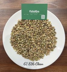 Vietnam Robusta Coffee Grade 1 - Screen 16 Cleaned – product photo 3, product detail gallery