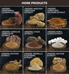 100% Natural Organic Herbal extract 50% mushroom powder shiitake mushroom extract - Image 6
