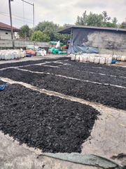 Coconut Chracoal + Coconut Briquettes - Image 1