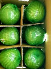 EXPORT-READY GREEN SKIN PINK FLESH POMELO: YOUR GLOBAL CITRUS SOLUTION - Image 2
