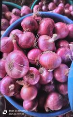 Fresh Onion Packaging Type Mesh Bag Available Weights 50kg, - Image 1