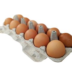Chicken Eggs Supplier for Food Processing Industry with Reliable Quality and Stable Supply - Image 4