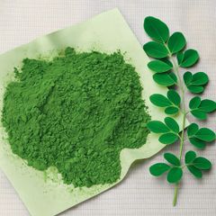 Pure Moringa Natural Leaf Powder - Natural Dried - Image 1