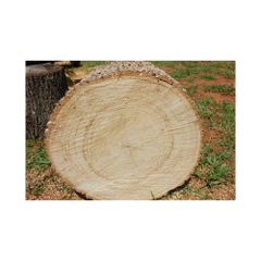 Premium oak firewood supplied in bulk for heating and cooking applications – product photo 3, product detail gallery