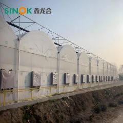 Multi Span Plastic Greenhouse with Hydroponics Planting System/Drip Irrigation System - Image 2