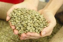 Coffee Beans Size 18, 16 Foreign Matter 0.1 Moisture Content 12.5 Black And Broken Rate - TTD Company