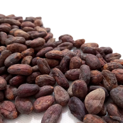COCOA BEANS FOR EXPORT – product photo 2, product detail gallery