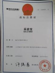 CAIZIBAO certificate from Linyi Xingguan Technology Co., Ltd.