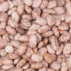 High Quality Pinto Beans Offered In Bulk For Global Importers Pinto Beans Processed Carefully With Reliable Export Packing - Image 3