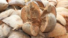 Wholesale Coconut Husk For Distribution - Image 3