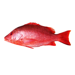 Frozen Wild Caught Fillet Skin On Natural Red Snapper Indonesia Seafood Best Quality - Image 2