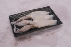 squidFrozen Whole Squid whole and cleaned  & Exporter India | - Image 1