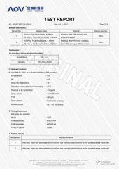 Salt Spray Test for Hose Clamps-3 certificate from Wenzhou Meters Int'l Trade Co., Ltd.