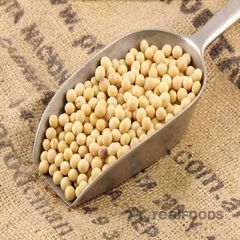 Quality Soybeans Wholesale Natural Soya Beans Soybean Style Dried Shelf Life 24 Weight (kg) 50 Drying Process AD Brand Name - Image 2