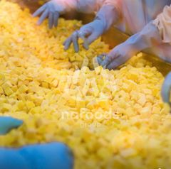 High quality IQF Mango from Nafoods Vietnam - Image 1