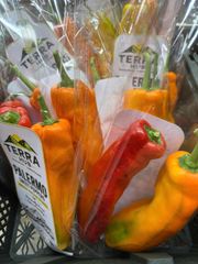 FRESH PALERMO VIETNAM - Image 4