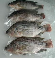 Frozen cassava leaves, frozen cassava, frozen taro, frozen tilapia, pangasius, okra, jackfuit  ..... - Image 1