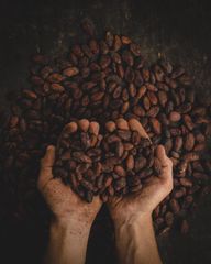 Cocoa beans - Image 3