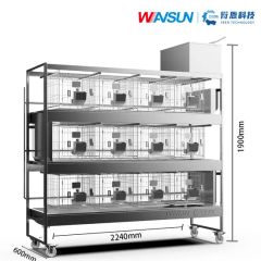 User Friendly Design Various Size Wash Pet Animal Cage for Veterinary Use - Image 3