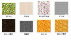 Water Transfer Printing for Car Interiors - Image 6