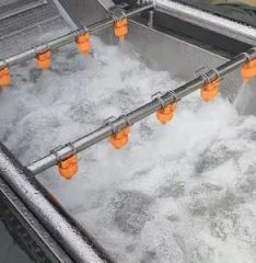 Industrial Vegetable and Fruits Pretreatment Processing Machine Bubble Cleaning Equipment - Image 6