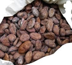 Cocoa Beans – product photo 3, product detail gallery