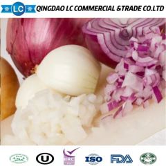 High Quality Frozen Onion Diced Price GMO None Balanched No Shelf Life 2 Yeas HS Code 0710900000 Origin Shandong, China Type Agricultural - Image 1
