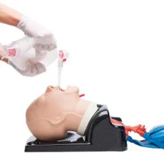 Medical Science Human Trachea Intubation Model for Nurse Training - Image 1