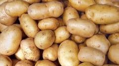 Fresh Potatoes High Quality with 0 % damage – product photo 2, product detail gallery