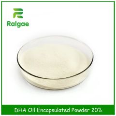 10% DHA Oil Milk Powder Encapsulated Powder Health Nutrition Supplements Shelf Life >12 Months Transport Package 20kg Carton Box - Image 6