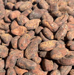 Top Quality Cocoa Beans - Image 1