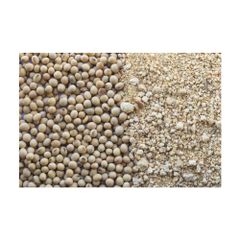 Brazil GMO Soybean frozenchickenexports.com - Image 1
