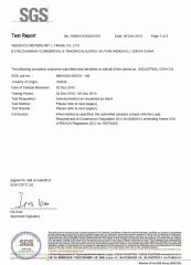 SGS Test Report for Lumber Crayon-1 certificate from Wenzhou Meters Int'l Trade Co., Ltd.