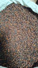Clove Lalpari AB6 grade A - Image 2