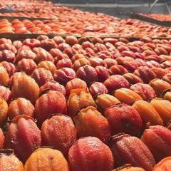 Premium Dried Persimmon, A - Image 1