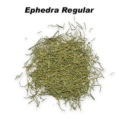 Ephedra Herb / Mahung/ Ephedra Vulgaris / エフェドラハーブ / 麻黃草  Má huáng cǎo / 에페드라 허브 - Image 4