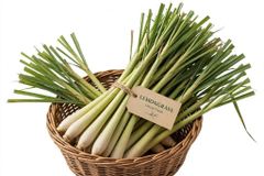 Premium Dried Uncut Lemongrass from the Caribbean – product photo 2, product detail gallery