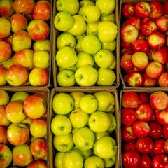 Fresh Apples
