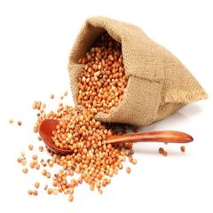 High Quality Sorghum Grain With Exceptional Purity And Bulk Supply For Food And Feed Industries - Image 3