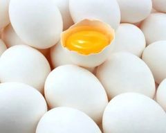 Fresh White Chicken Eggs Wholesale Distribution - Image 2