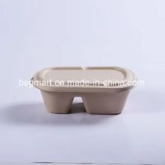 Environmental Friendly Biodegradable Disposable Tableware Meat Dish Dinnerware - Image 4