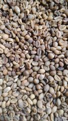 Greenbean Robusta Gayo – product photo 1, product detail gallery
