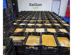 Vietnam Passion Fruit Puree – Seed & Seedless | Frozen Bulk Export Supplier - Image 3