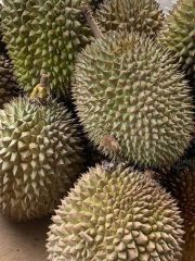 Durian – product photo 1, product detail gallery