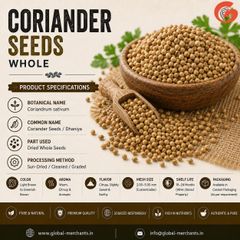 Coriander Seeds from India | Premium Quality Whole Coriander | Bulk Export - Image 1