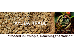 coffee bean – product photo 1, product detail gallery