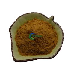 Herbal Extract Tangerine Seed Extarct Semen Citri Reticulatae - Image 4